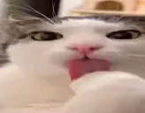 clean emote for Discord