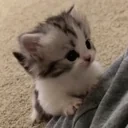 climb emote for Discord