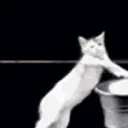 CLEAN emote for Discord