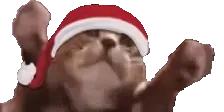 clappi emote for Discord
