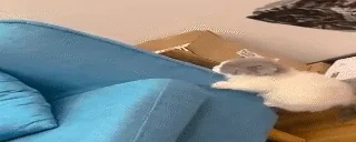 climb emote for Discord