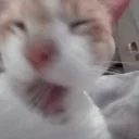 CLEAN emote for Discord