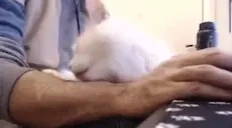 CleanTheNymN emote for Discord