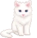 CleanCat emote for Discord