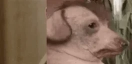 clarifying emote for Discord