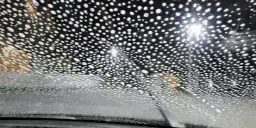 CLEAN emote for Discord