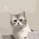 Clueless emote for Discord