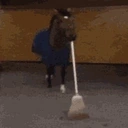 clean emote for Discord