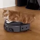 CleaningCat emote for Discord