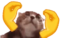 clappooi emote for Discord