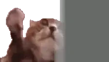 clippi emote for Discord