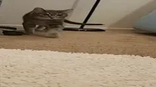 CloudWalk emote for Discord