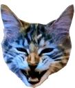 cleoGiggle emote for Discord