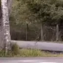 cleetusarrive emote for Discord