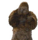 CLAPmonke emote for Discord