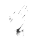 claphands emote for Discord