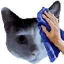 cleancalvo emote for Discord