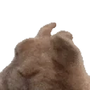 CloneVibe emote for Discord