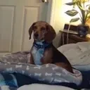 CliffYawn emote for Discord