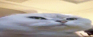 click emote for Discord