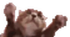 clappi emote for Discord