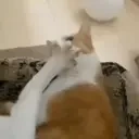 clean emote for Discord