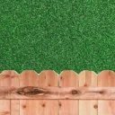 clemPeek emote for Discord