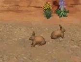 bnnies emote for Discord