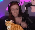 bnovaPetCat emote for Discord