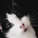 bmo emote for Discord