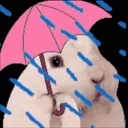 bnuyRain emote for Discord