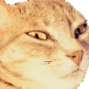 BTTV_SELECTED emote for Discord