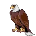 BvrdSupaFlex emote for Discord