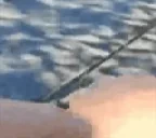 BSpinne emote for Discord