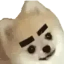 Bwors emote for Discord