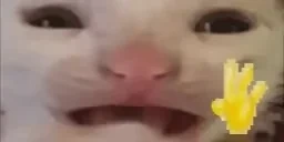 byee emote for Discord