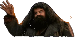 Byegrid emote for Discord