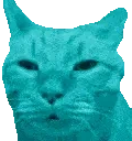 bwhar emote for Discord