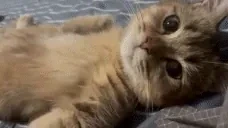 bye emote for Discord