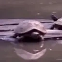 Bye emote for Discord