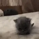 byeThere emote for Discord