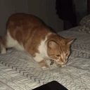 BYEE emote for Discord