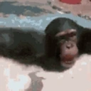 bxmSpin emote for Discord