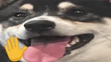 bye emote for Discord