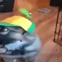 cc emote for Discord