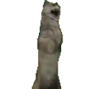 ccc40ccc emote for Discord