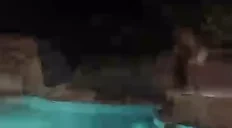 cbFlop emote for Discord