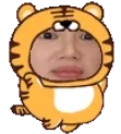 ccTiger emote for Discord