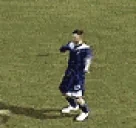 celebrate emote for Discord