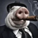 cerdogun emote for Discord